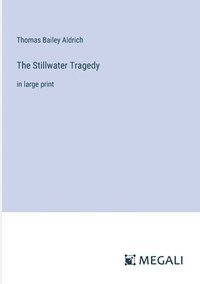 bokomslag Stillwater Tragedy