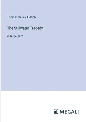 bokomslag The Stillwater Tragedy