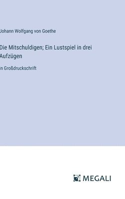 Mitschuldigen; Ein Lustspiel in drei Aufzügen