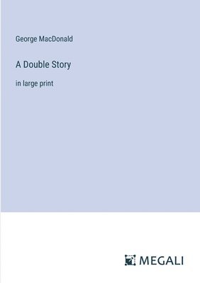 bokomslag Double Story