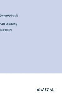 bokomslag Double Story