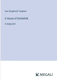 bokomslag A House of Gentlefolk
