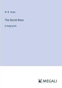 bokomslag Secret Rose