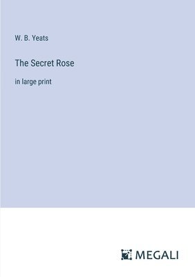 bokomslag Secret Rose