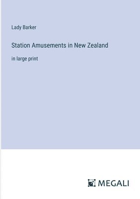 Station Amusements in New Zealand 1