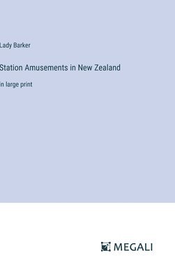 bokomslag Station Amusements in New Zealand