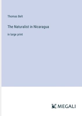 Naturalist in Nicaragua