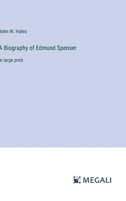 bokomslag A Biography of Edmund Spenser