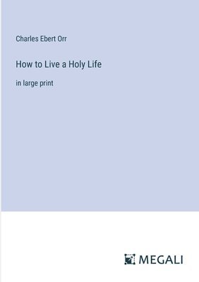 bokomslag How to Live a Holy Life