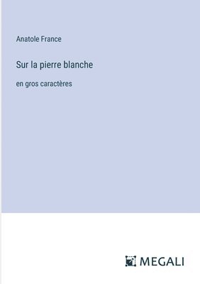 bokomslag Sur la pierre blanche