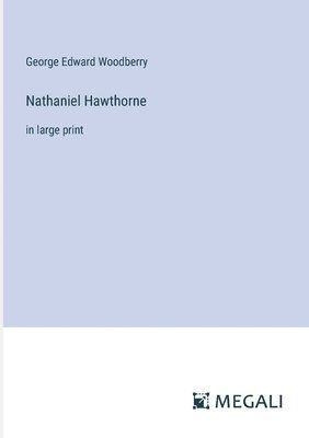 bokomslag Nathaniel Hawthorne