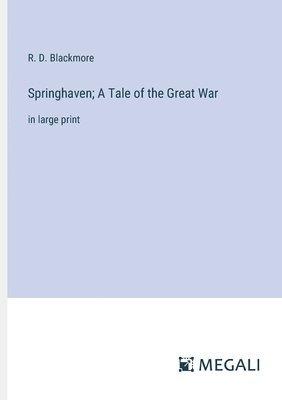 Springhaven; A Tale of the Great War 1