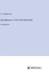 bokomslag Springhaven; A Tale of the Great War