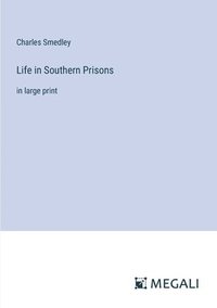 bokomslag Life in Southern Prisons