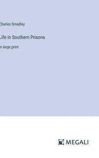 bokomslag Life in Southern Prisons