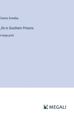 bokomslag Life in Southern Prisons