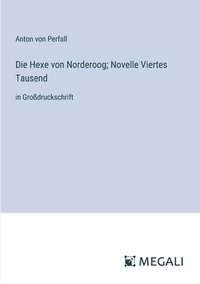 bokomslag Die Hexe von Norderoog; Novelle Viertes Tausend