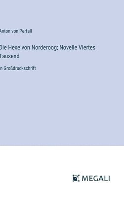 bokomslag Die Hexe von Norderoog; Novelle Viertes Tausend