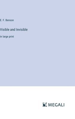 Visible and Invisible 1