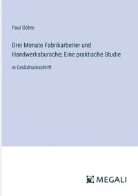 bokomslag Drei Monate Fabrikarbeiter und Handwerksbursche; Eine praktische Studie