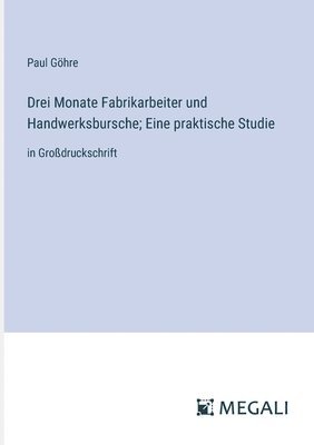 bokomslag Drei Monate Fabrikarbeiter und Handwerksbursche; Eine praktische Studie