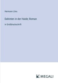 bokomslag Dahinten in der Haide; Roman