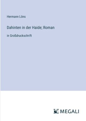 Dahinten in der Haide; Roman 1