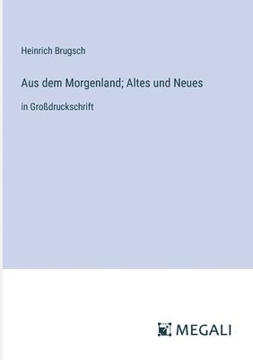 bokomslag Aus dem Morgenland; Altes und Neues