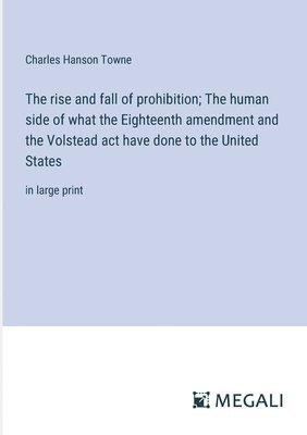 Charles Hanson Towne - rise and fall of prohibition; The human side of what the Eighteenth amendment and the Volstead act have done to the United States, Häftad