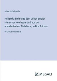 bokomslag Helianth; Bilder aus dem Leben zweier Menschen von heute und aus der norddeutschen Tiefebene, In Drei Bnden