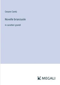 bokomslag Novelle brianzuole