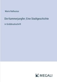 bokomslag Die Kammerjungfer; Eine Stadtgeschichte: in Großdruckschrift