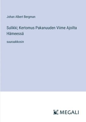bokomslag Sulikki; Kertomus Pakanuuden Viime Ajoilta Hämeessä
