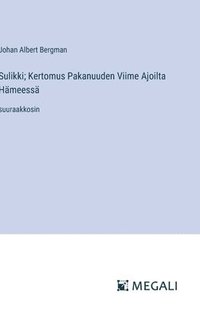 bokomslag Sulikki; Kertomus Pakanuuden Viime Ajoilta Hämeessä