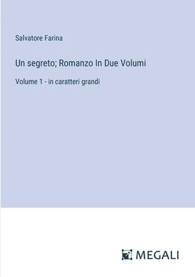 bokomslag Un segreto; Romanzo In Due Volumi