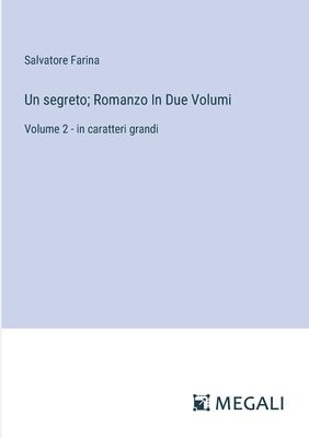 bokomslag Un segreto; Romanzo In Due Volumi