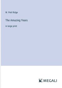 bokomslag Amazing Years