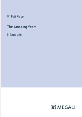 bokomslag Amazing Years
