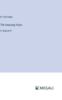 bokomslag Amazing Years