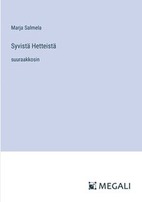 bokomslag Syvist Hetteist