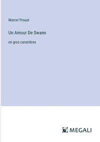 bokomslag Amour De Swann