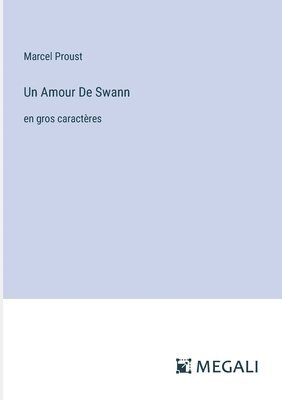 bokomslag Amour De Swann