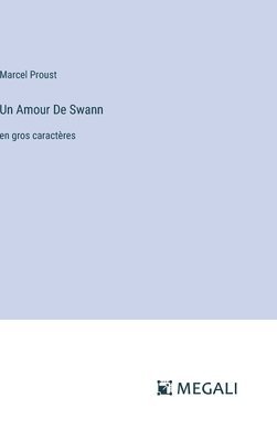 bokomslag Amour De Swann