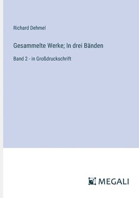 bokomslag Gesammelte Werke; In drei Bänden: Band 2 - in Großdruckschrift