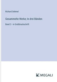 bokomslag Gesammelte Werke; In drei Bänden: Band 3 - in Großdruckschrift