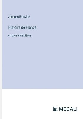 bokomslag Histoire de France
