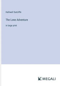 bokomslag The Lone Adventure