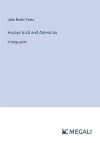 bokomslag Essays Irish and American