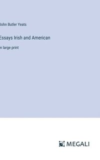 bokomslag Essays Irish and American