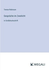 bokomslag Gespräche im Zwielicht